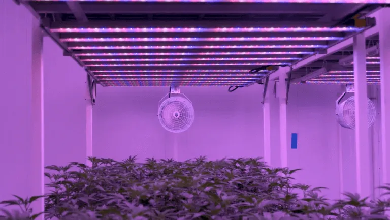 MegaDrive® Vertical Technology | LED Greenhouse Lighting