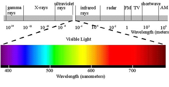 Plant growth light deals spectrum