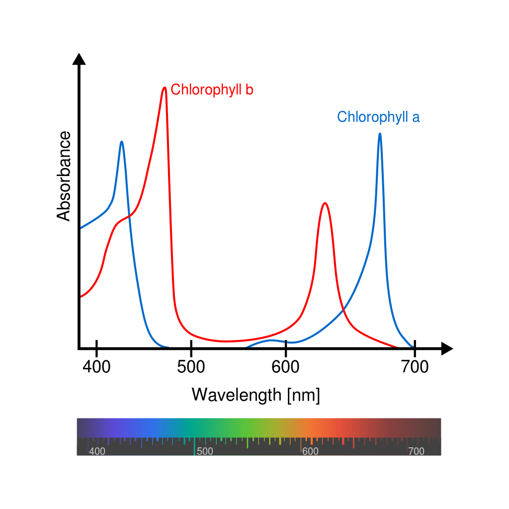 wavelength graph