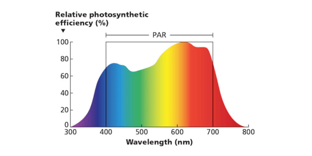 What are the PAR PPF and PPFD Metrics of the Best LED Grow Light?