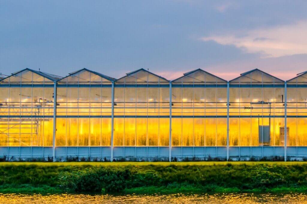 Greenhouse-lighting-design