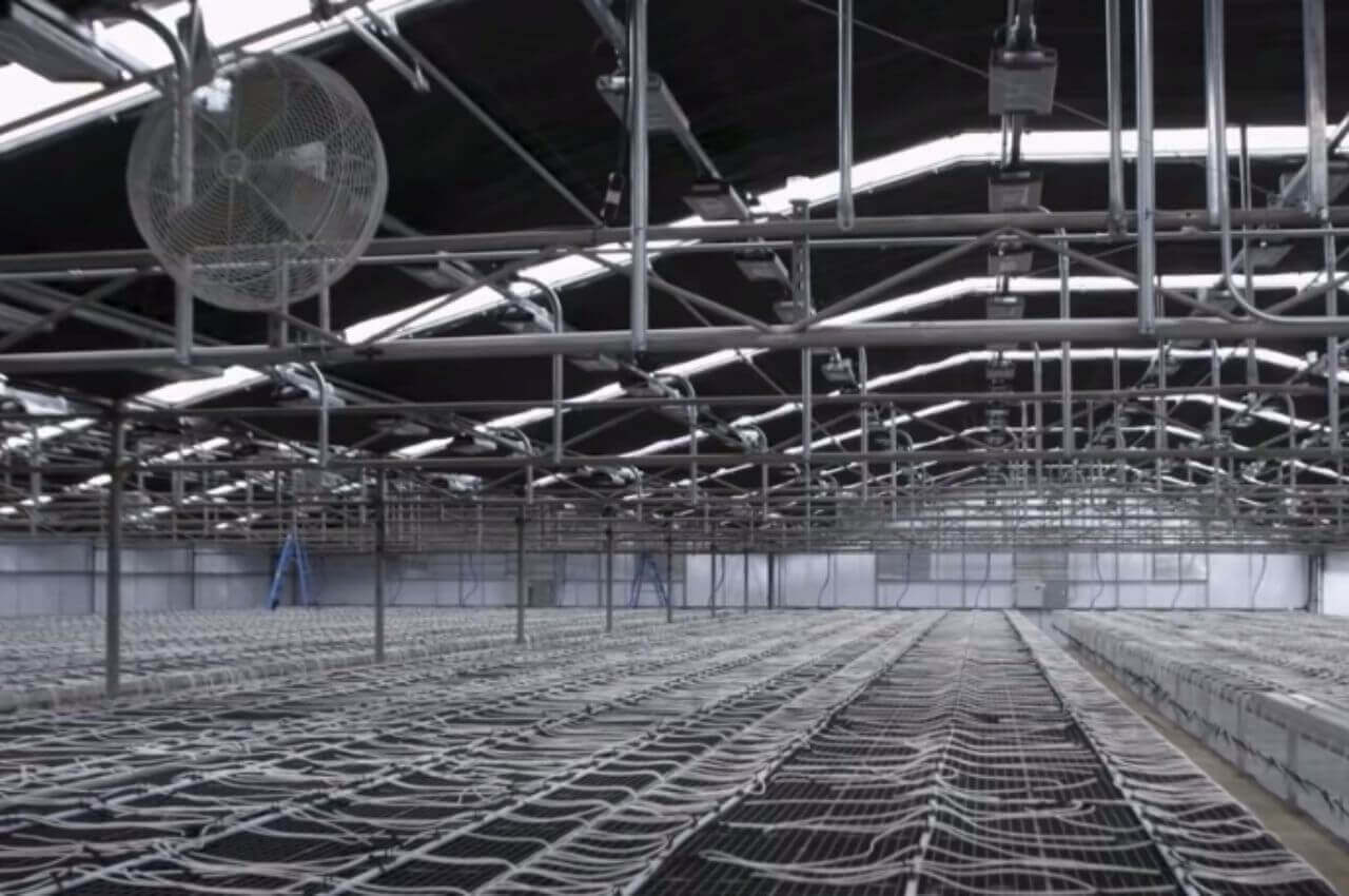 Get a Utility Rebate by Using LEDs Instead of HPS Lighting
