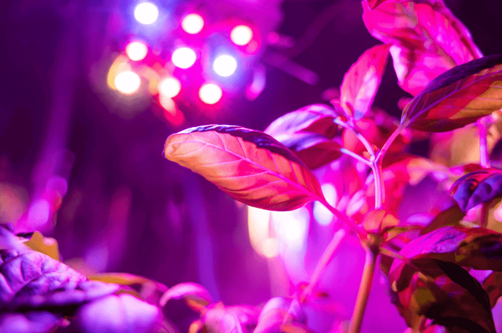Blog-Featured-Image-6