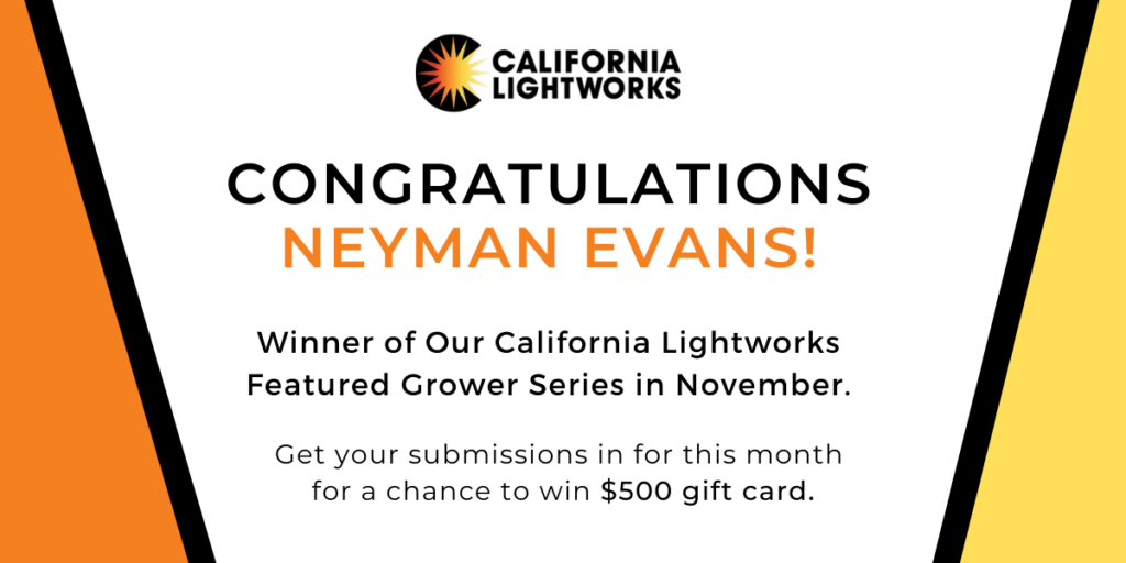 Blog-CLW-Winner-1