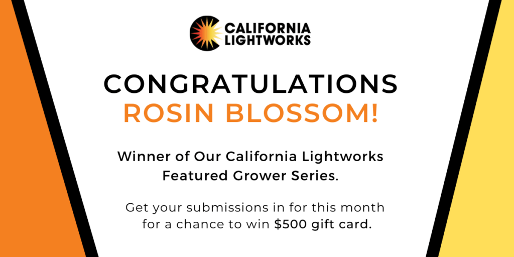 Blog-CLW-Winner-3