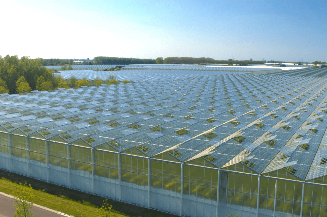Why The Demand For LED Lighting Is Growing In Horticulture