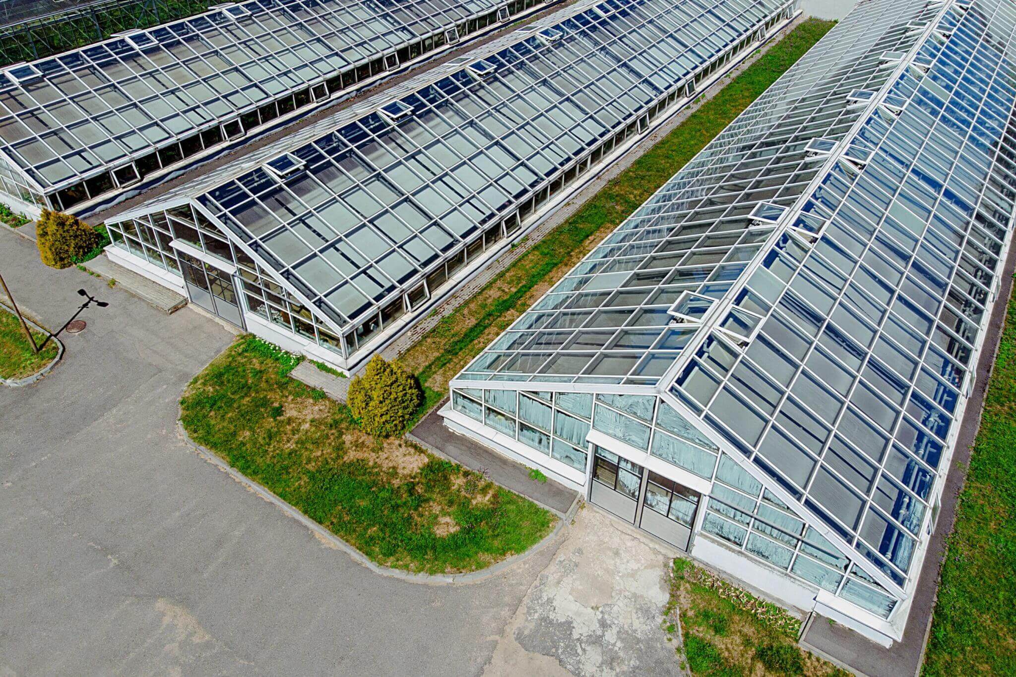 Growing At Scale: Greenhouse Vs. Indoor Cultivation