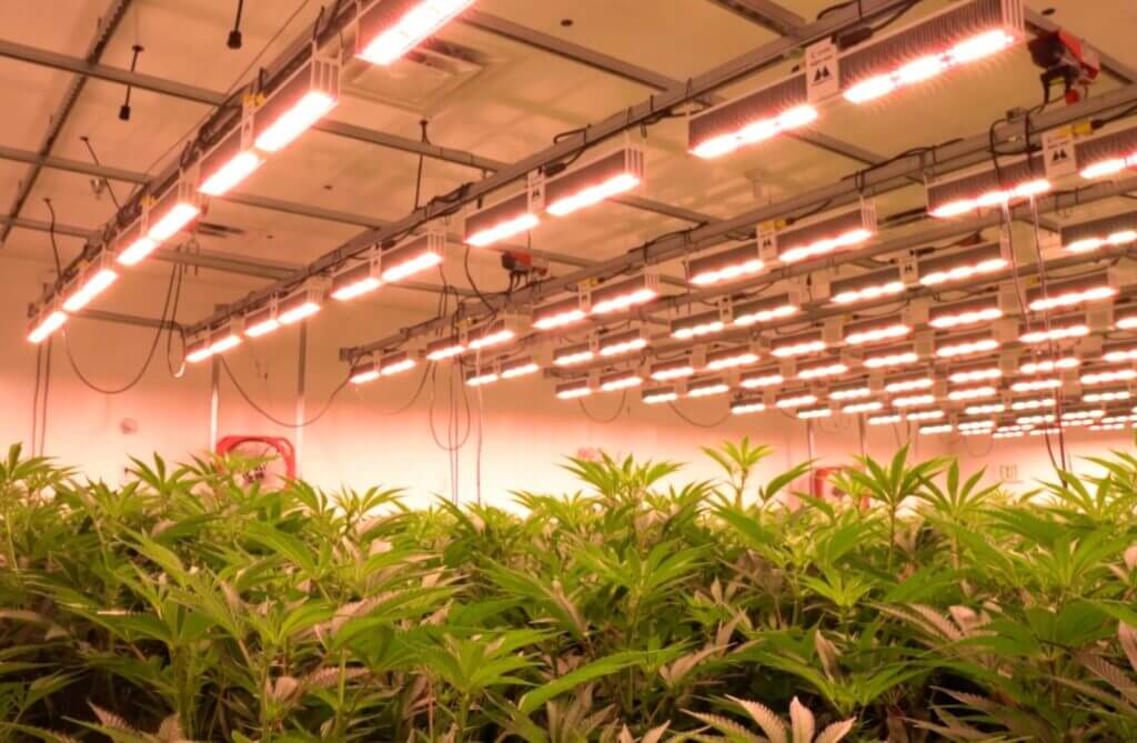 Grow-Ohio-Testing-Our-LEDs-Against-The-Competition-2048x1338
