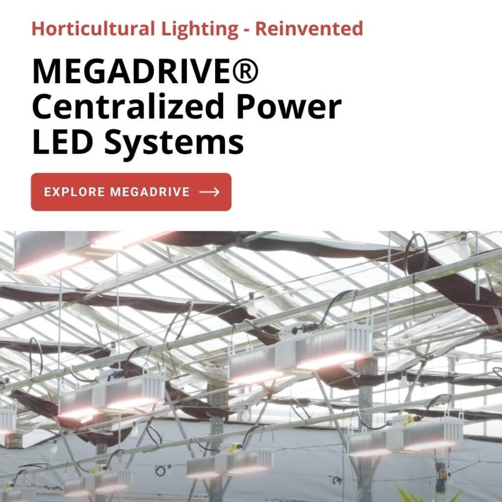 MegaDrive® Centralized Power LED Systems