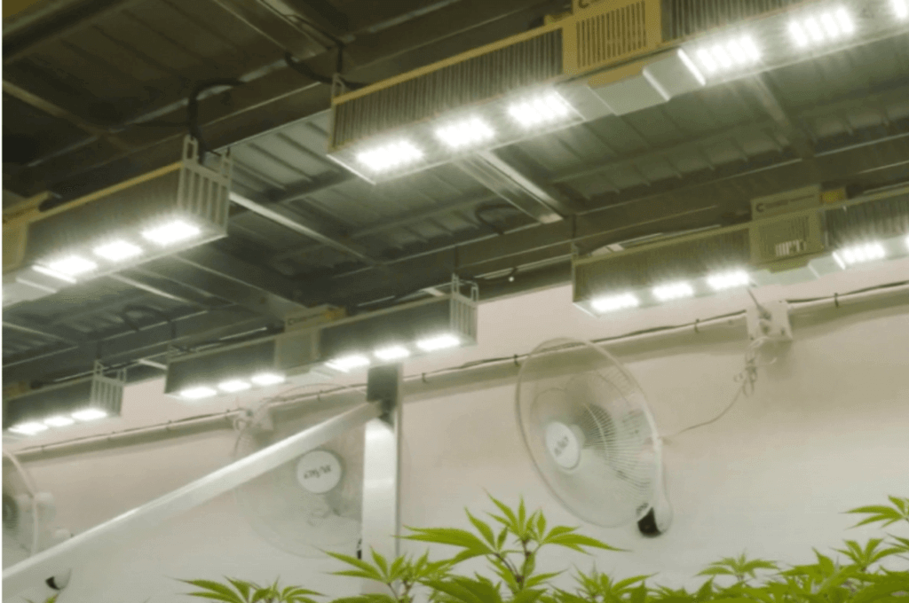 reasons-indoor-commercial-gowers-are-upgrading