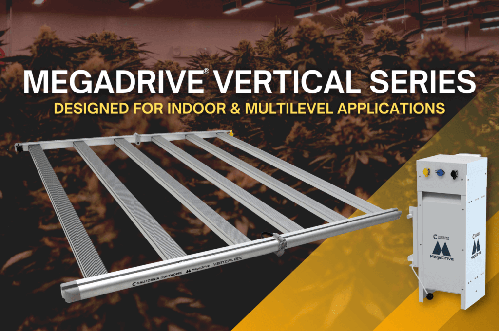 introducing-megaDrive-vertical-series