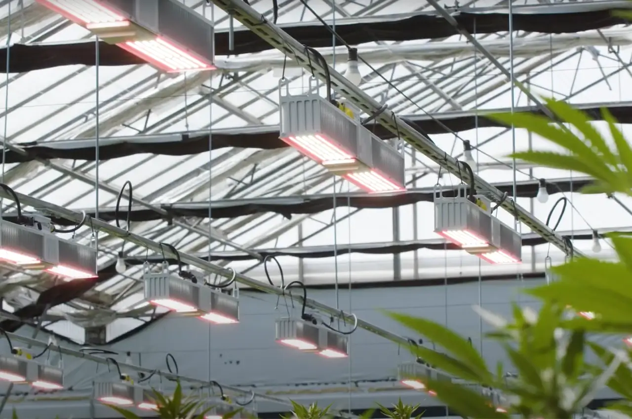 Why LED Grow-Lights Fail and How to Prevent It