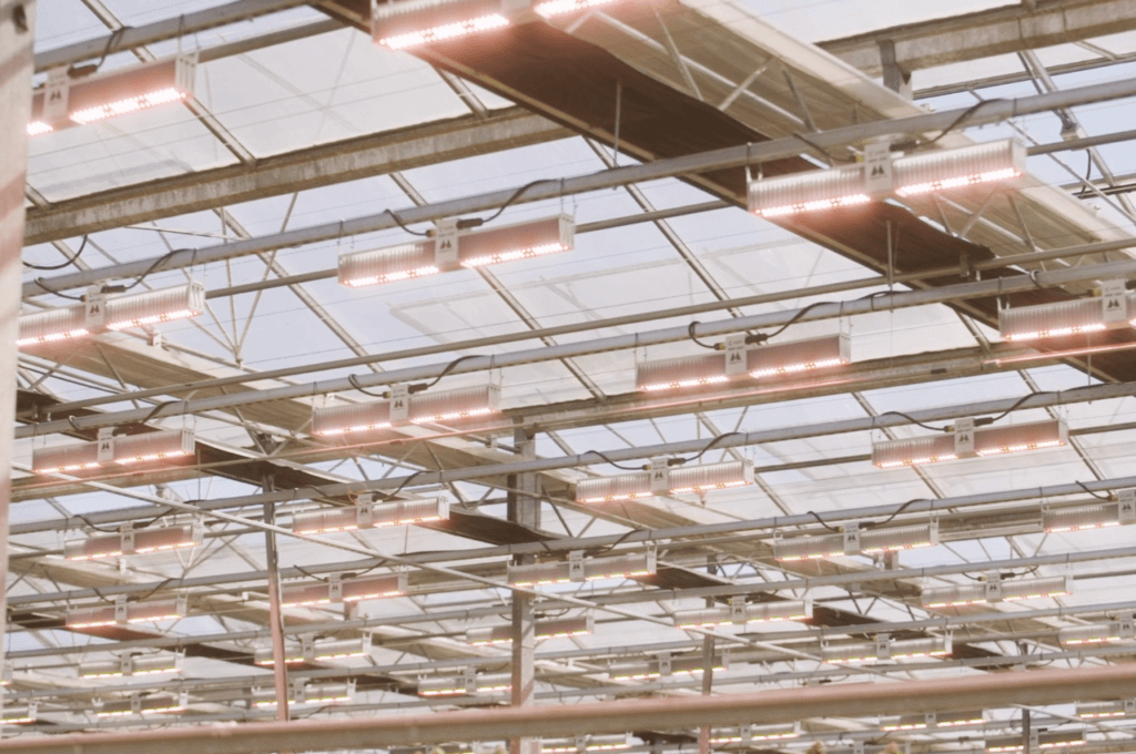 Food-Cultivator-GreenHouse-LEd-Grow-Lights-2-1024x680