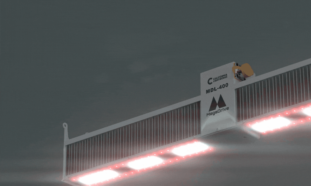 Multi Channel Spectrum Control