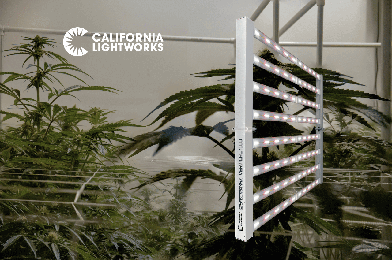 Full Spectrum Control: Applications and Advantages of SpectraMax Vertical 1000