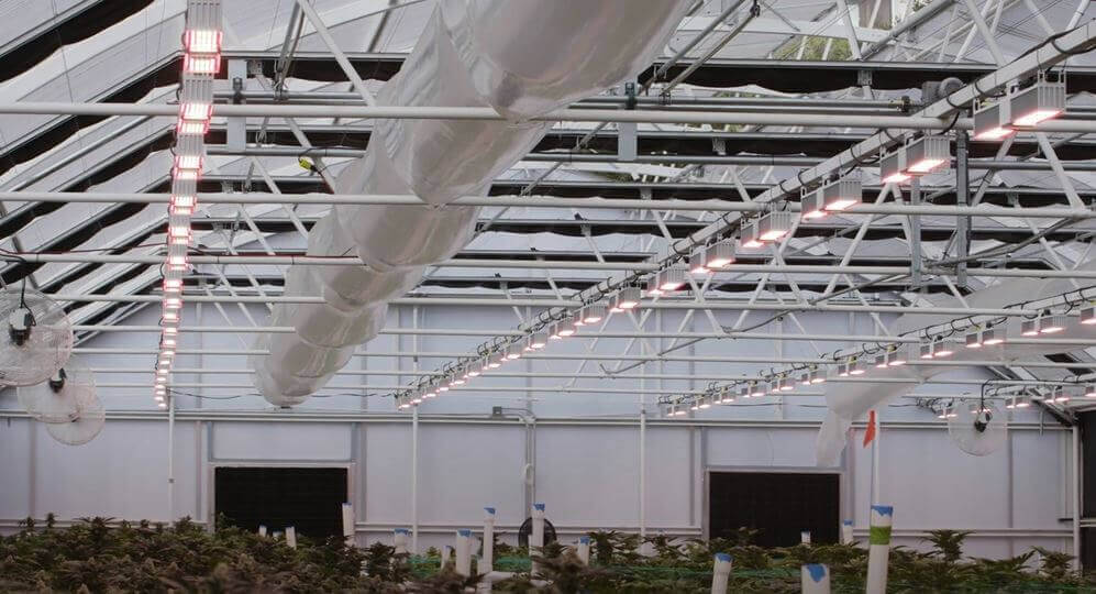 Island Breeze Ranch – MegaDrive™ Lighting Technology