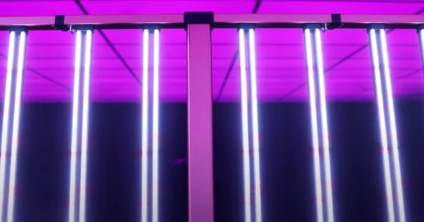 Home Grow - California LightWorks